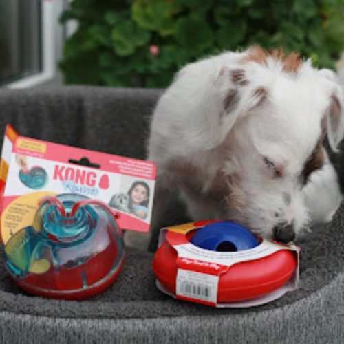 KONG Rewards i Gyro- zabawki spowalniające jedzenie